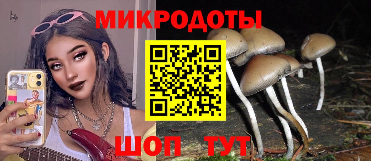 Псилоцибиновые грибы Magic Shrooms Видное