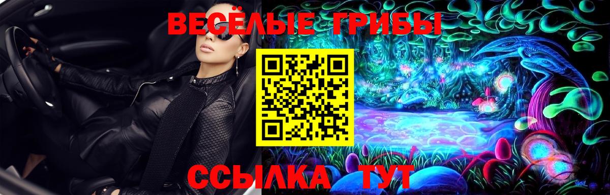 Галлюциногенные грибы MAGIC MUSHROOMS  хочу   Галлюциногенные грибы прущие грибы  Видное  Вход с VPN 